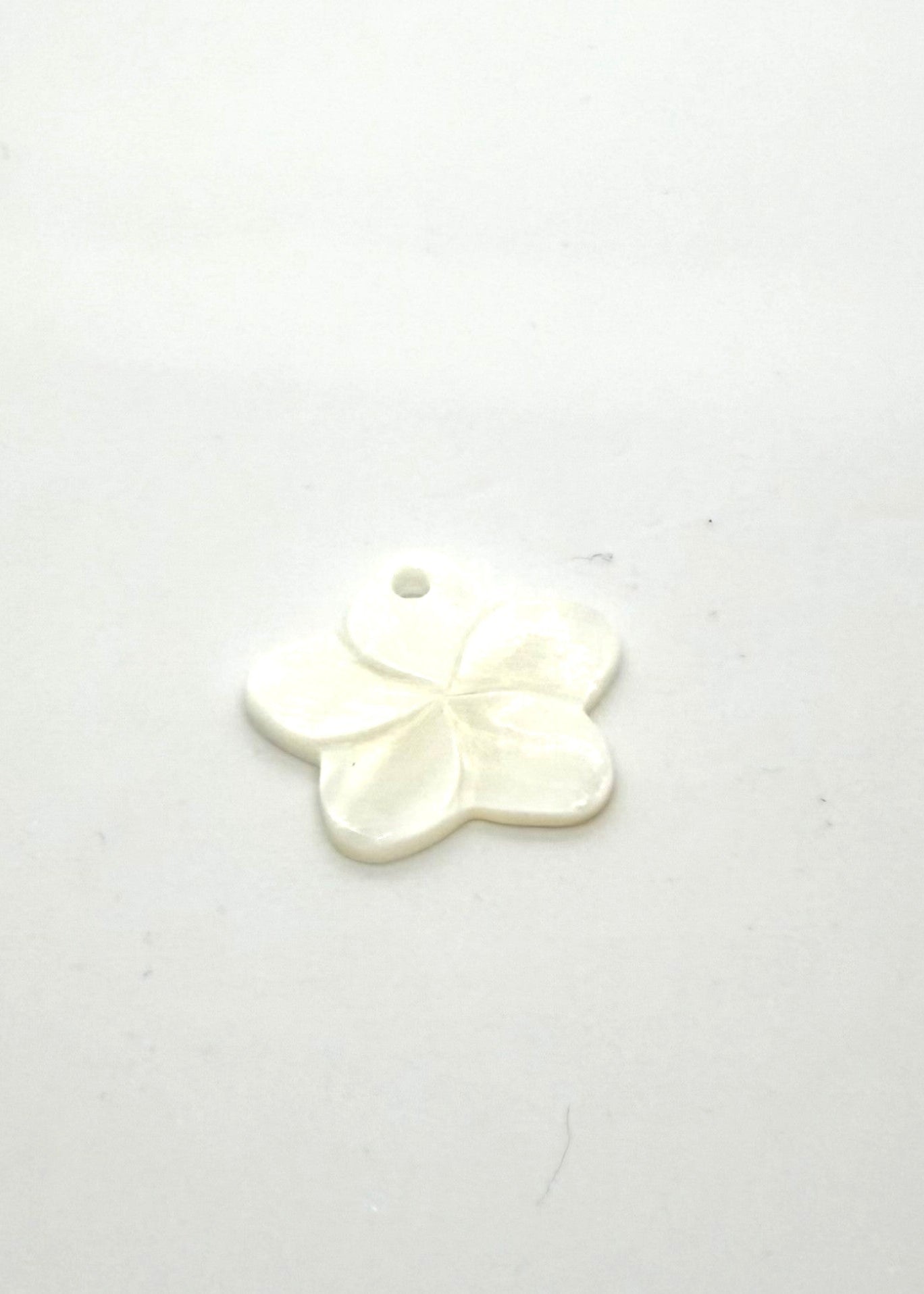 white natural shell flower charm on white background